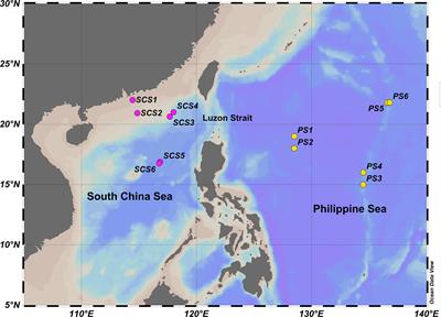 Metabarcoding survey of meroplankton communities in the South China Sea and Philippine Sea: Shedding light on inter-basin biogeography in the West Pacific